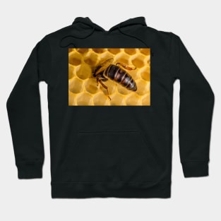 Queen Bee 2 Hoodie